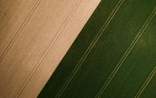 Green white striped wall clock - heavy grain free wallpaper