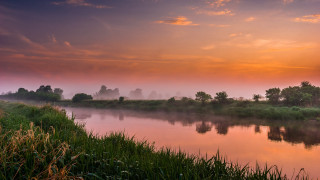 River trees grass sunset fog - the bank free wallpaper