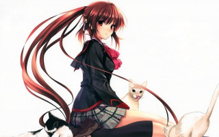 Long haired girl cat leash - a leash free wallpaper