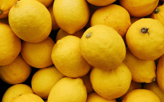 Lemons stilllife yellow background black - postminimalism free wallpaper for desktop