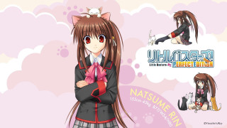 Anime character long hair cat 3 - long hair and a cat ears free wallpaper