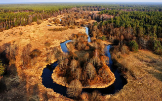 River forest grass sky puzzle - aerial view free wallpaper
