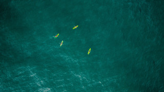 Surfboards people ocean fluorescent microscopic - fluorescent free wallpaper for desktop