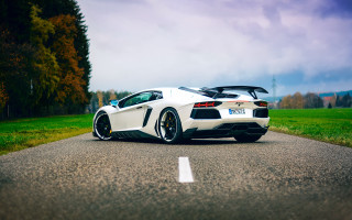 White sports car road field 2 - grass and trees free wallpaper