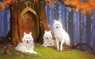 White dogs falling leaves autumn - a door in the background free wallpaper for desktop