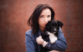 Woman holding puppy brickwall portrait - a puppy free wallpaper for desktop