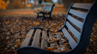 Park bench fallen leaves shallow - a park bench free wallpaper