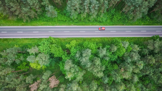 Forest road truck nature shrine - the middle of the day free wallpaper