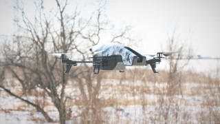 Black white quad tree snow - product photo free wallpaper