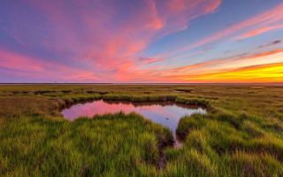 Sunset marsh pond clouds nature - bascove free wallpaper for desktop