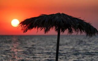 Palm beach sunset ocean moon - exekia free wallpaper