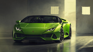 Green sports car garage door 2 - the side of the car free wallpaper for desktop