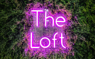 Neon loft flower garden purple - a neon sign free wallpaper