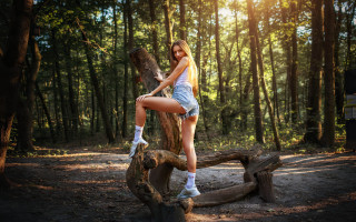 Woman forest bird sitting sculpture - a tree stump free wallpaper