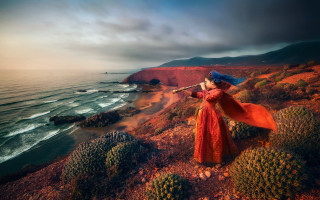 Woman red dress cliff ocean - a blue hat free wallpaper
