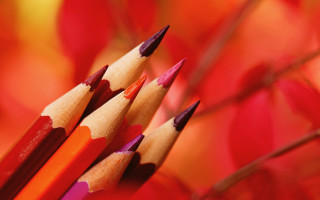 Pencils red leaves ultrafine blurry - bengal school of art free wallpaper for desktop