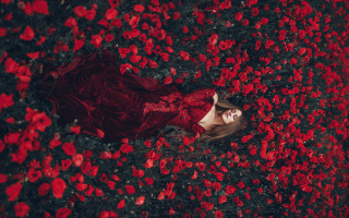 Woman red dress field flowers 3 - dreamlike free wallpaper for desktop