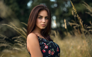 Woman field tallgrass portrait blurry - her eye free wallpaper for desktop