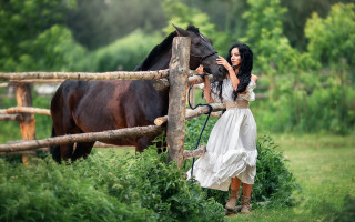 Woman white dress horse fence - a horse free wallpaper for desktop