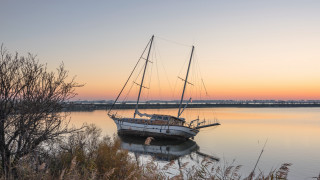 Boat sunset trees water ecological - tranquil free wallpaper
