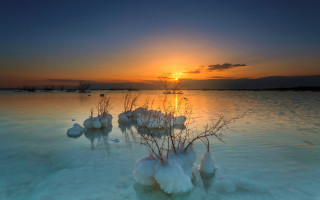 Sunset water plants snow reflection - a sunset over a body of water free wallpaper