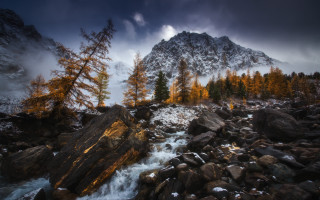 Mountain stream forests autumn leaves - rock and trees free wallpaper