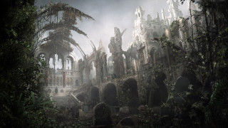 Ruined building forest trees birds - a forest free wallpaper