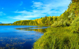 Lake trees grass blue sky 3 - arkhip kuindzhi free wallpaper