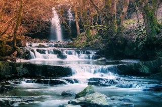 Waterfall forest rocks trees background - a waterfall in a forest free wallpaper