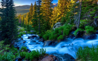 Stream forest trees rocks mountains - the mountain free wallpaper for desktop