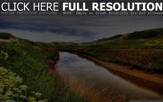 River lush hillside forest flowers - a forest free wallpaper