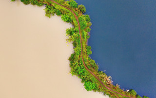 Train river flowers trees nature - a train free wallpaper for desktop