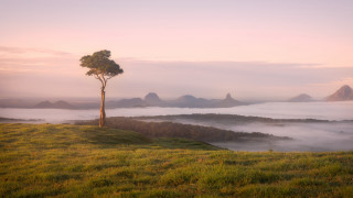 Tree hill foggy valley clouds - low free wallpaper for desktop