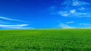 Green field blue sky lone 2 - a few cloud free wallpaper for desktop
