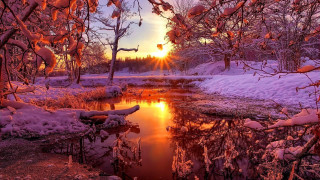 Snowy landscape pond trees sunset - a snowy landscape free wallpaper for desktop