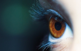 Eye brown iris macro realistic - a close up of a persons eye free wallpaper