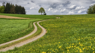 Dirt road green field yellow - the other side free wallpaper for desktop