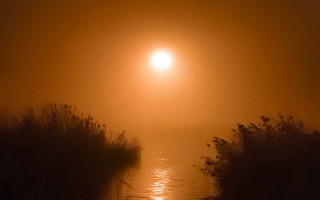 Foggy road light distant person - the side of the road free wallpaper for desktop