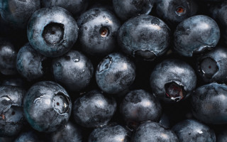 Blueberries closeup macro photorealism waterdrop - blueberry free wallpaper