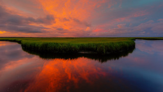 Sunset marshy area water grassy - a grassy area in the foreground free wallpaper