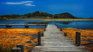 Wooden dock lake greenhills yellowflowers - a wooden dock free wallpaper for desktop