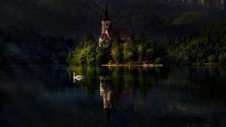 Church lake swan forest matte - a church free wallpaper