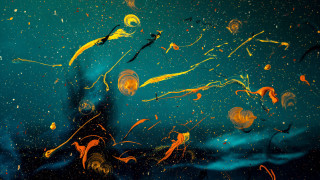 Painting person blue background yellow - jellyfish free wallpaper