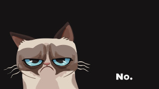Grumpy cat blue eyes no 2 - the caption free wallpaper