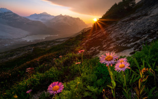 Sunset mountain flower lake horizon - a lake in the distance free wallpaper