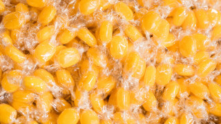 Yellow beans bowl water spoon - a bowl of water free wallpaper