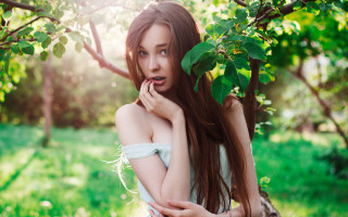 Woman long hair field nature - a field of grass and trees free wallpaper for desktop