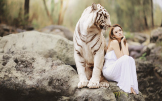 Woman white tiger rock grass - rock and grass free wallpaper