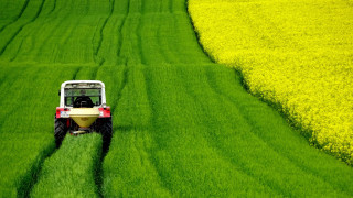 Tractor green field yellow flower - a green field of grass free wallpaper