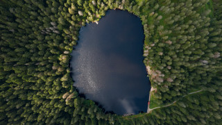 Lake forest trees sky nature - the middle of a forest area free wallpaper